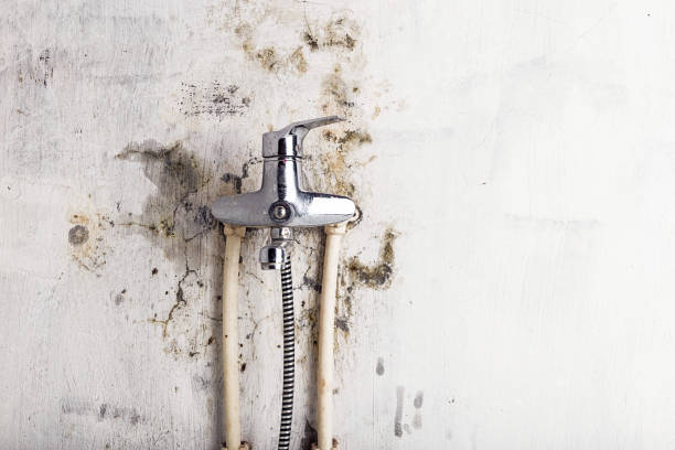 Home Mold Removal in Diamond Bar, CA