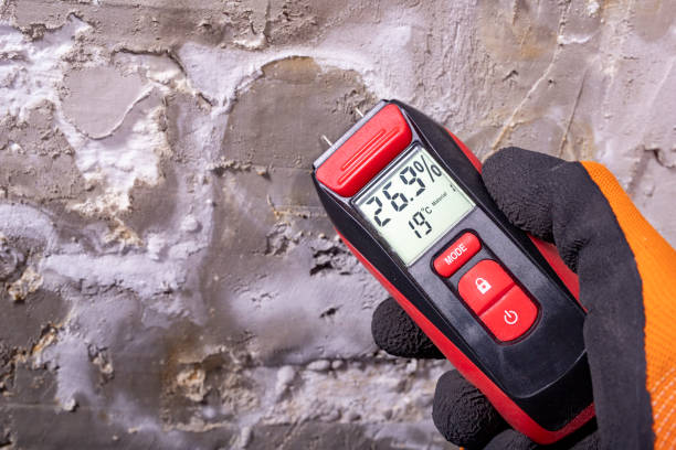 Best Affordable Mold Removal  in Diamond Bar, CA