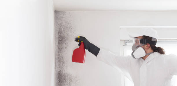 Best Professional Mold Removal  in Diamond Bar, CA